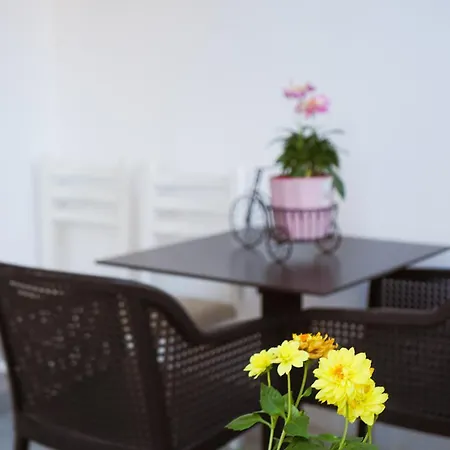 Dolanit Apartment